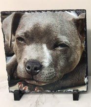 Load image into Gallery viewer, Pet Slate (Square 19 x 19cm)
